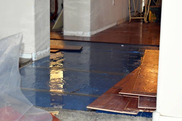 Professional Basement Flood Cleanup technician working in Dowell, MD